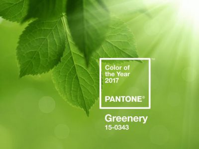 Pantone colour of the year announced and it’s a shade of green