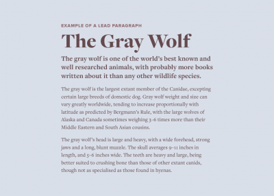 Typewolf’s Flawless Typography Checklist is now available